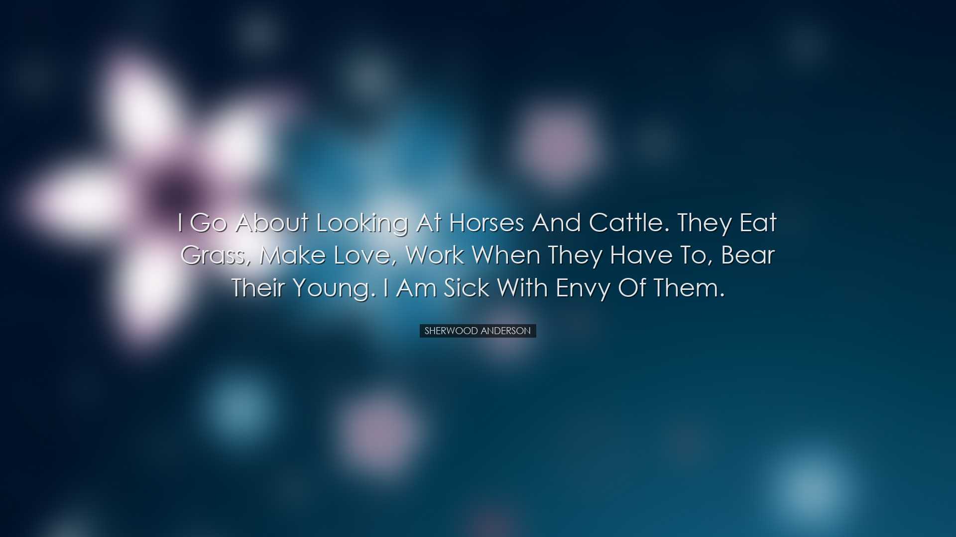 I go about looking at horses and cattle. They eat grass, make love