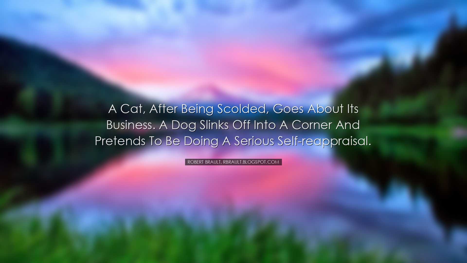 A cat, after being scolded, goes about its business. A dog slinks