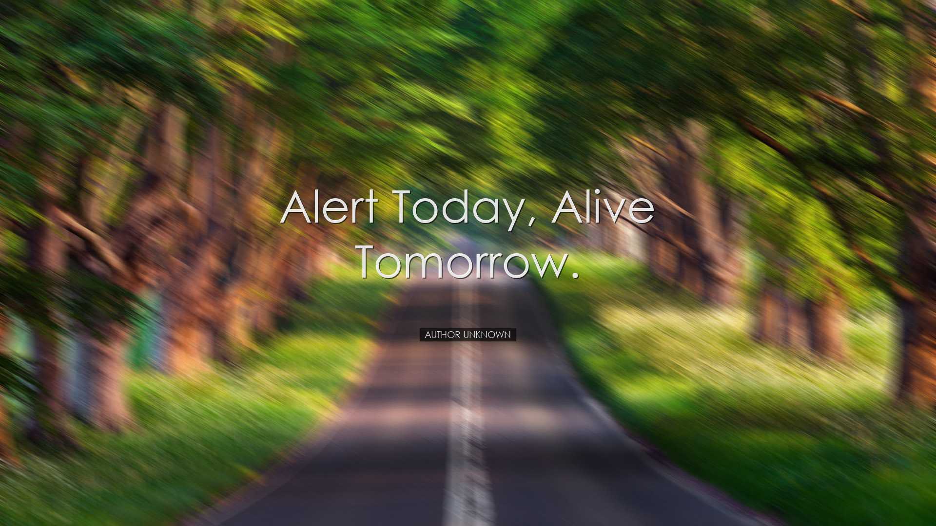 Alert today, alive tomorrow. - Author unknown