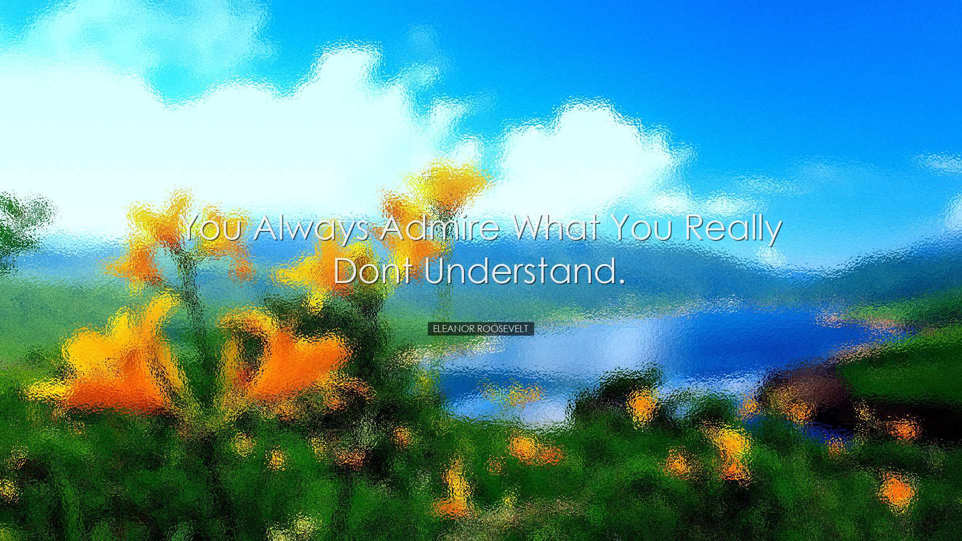 You always admire what you really dont understand. - Eleanor Roose