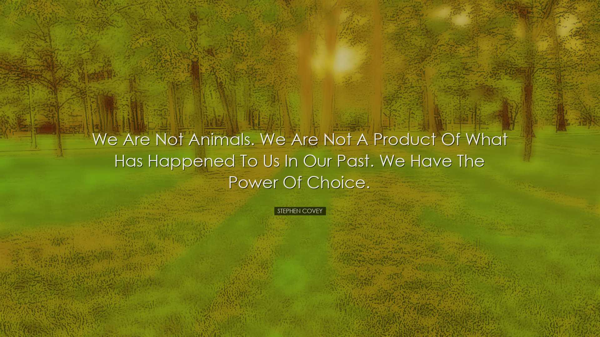 We are not animals. We are not a product of what has happened to u