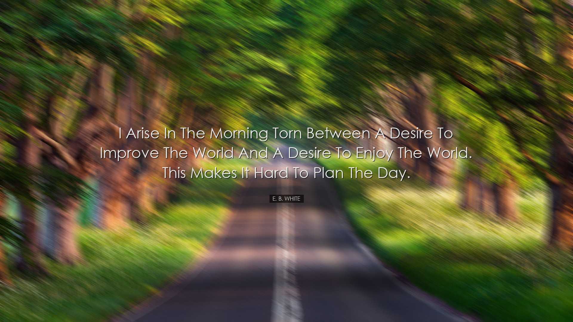 I arise in the morning torn between a desire to improve the world