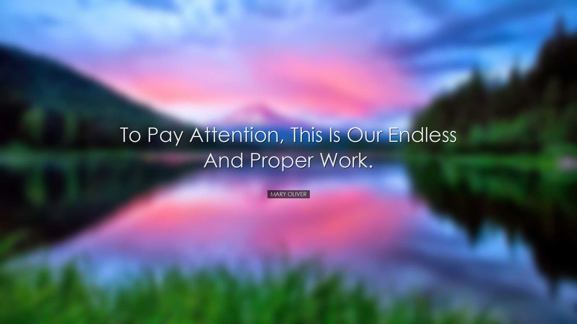To pay attention, this is our endless and proper work. - Mary Oliv