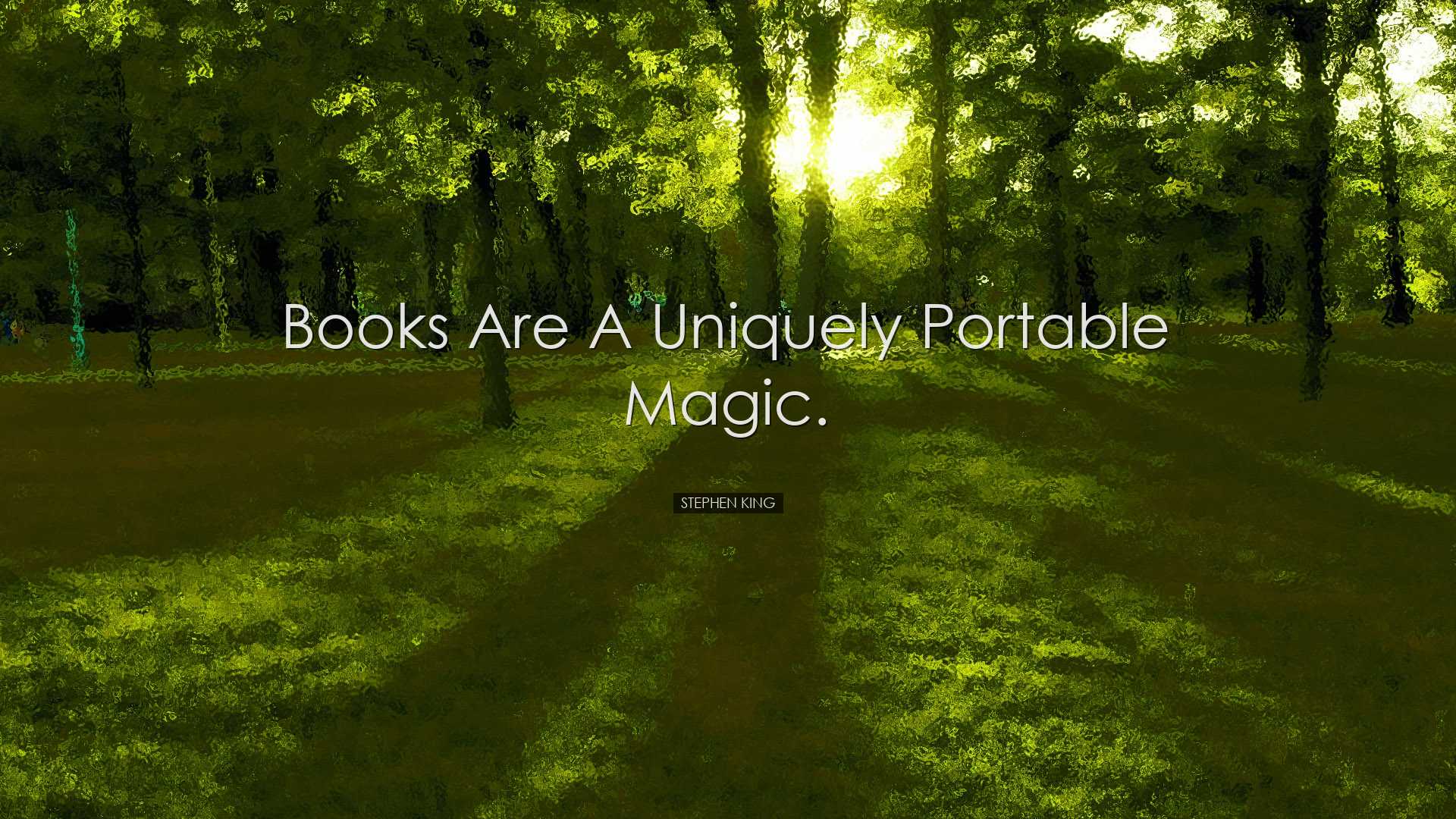 Books are a uniquely portable magic. - Stephen King