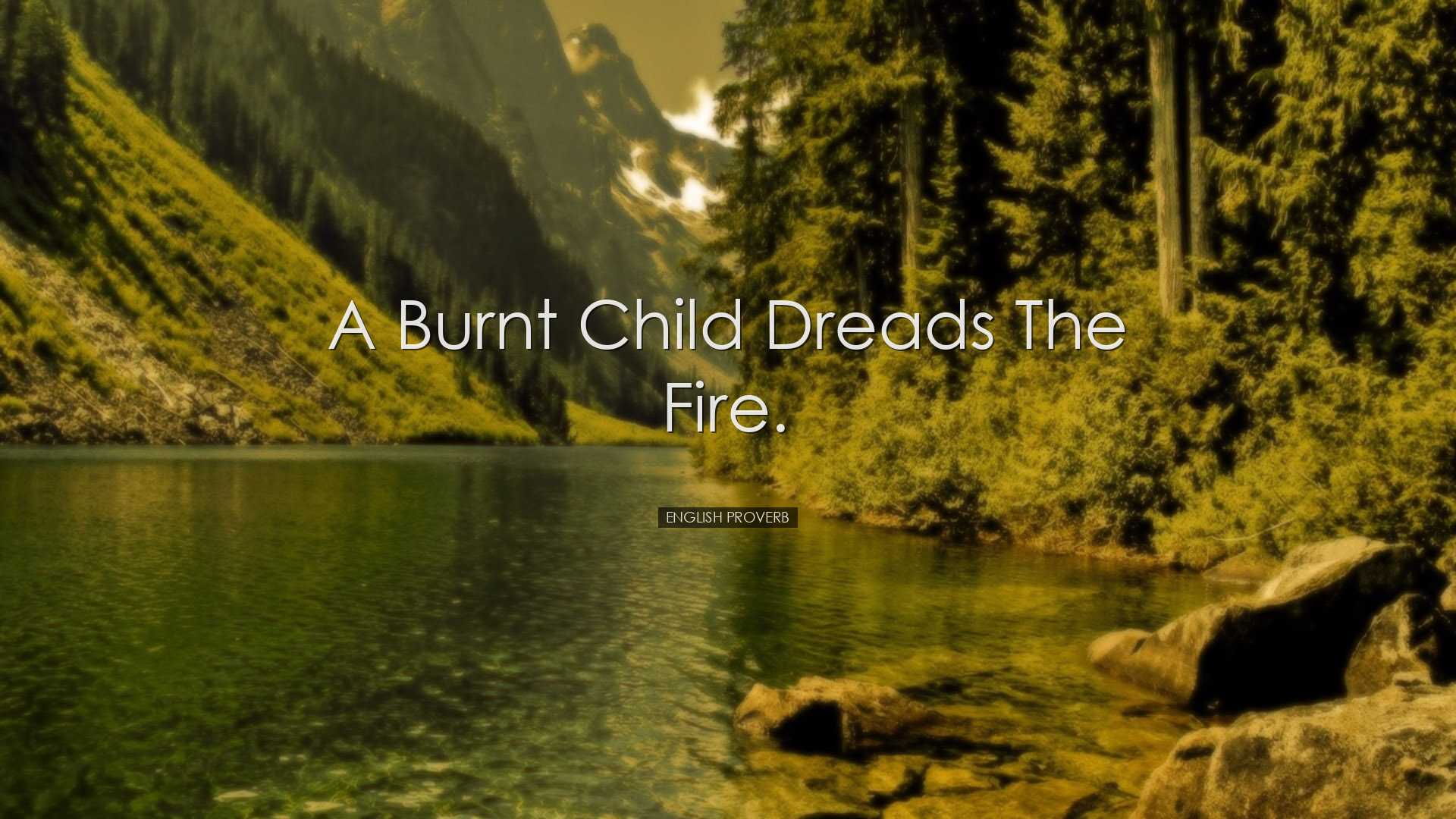 A burnt child dreads the fire. - English Proverb