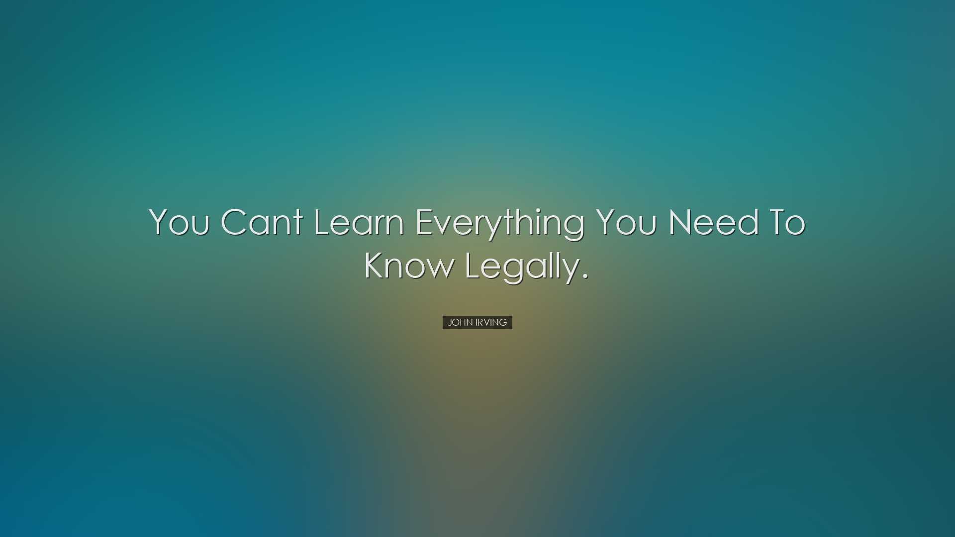 You cant learn everything you need to know legally. - John Irving