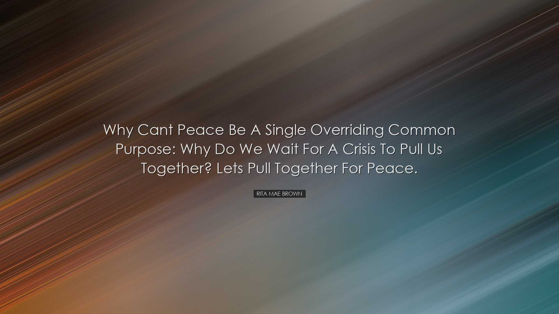 Why cant peace be a single overriding common purpose: why do we wa