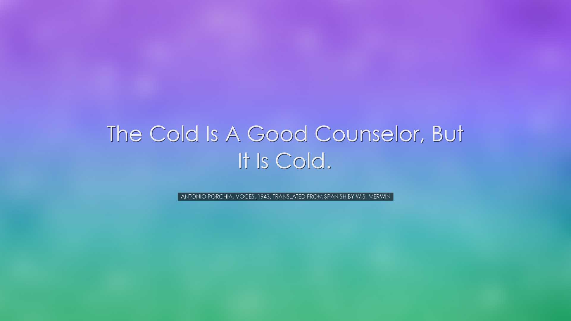 The cold is a good counselor, but it is cold. - Antonio Porchia, V