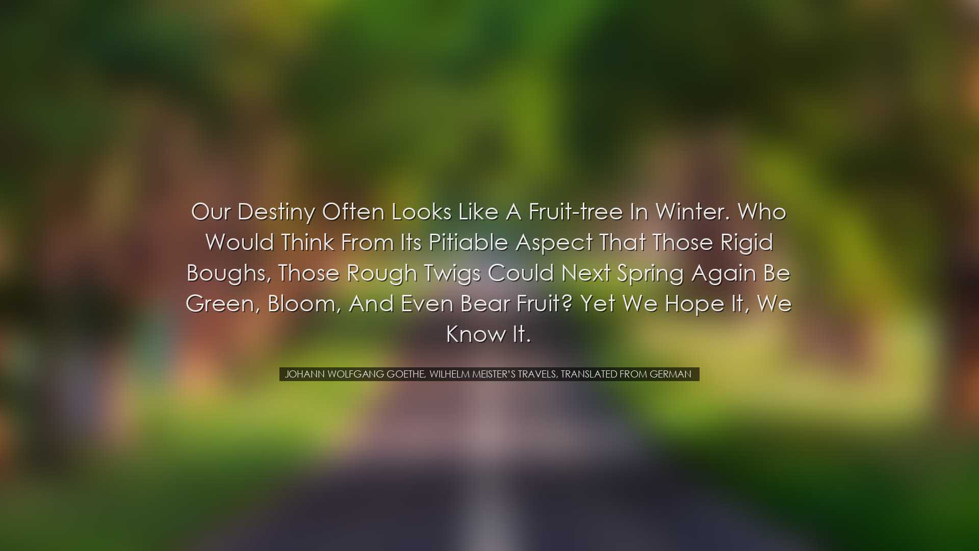 Our destiny often looks like a fruit-tree in winter. Who would thi