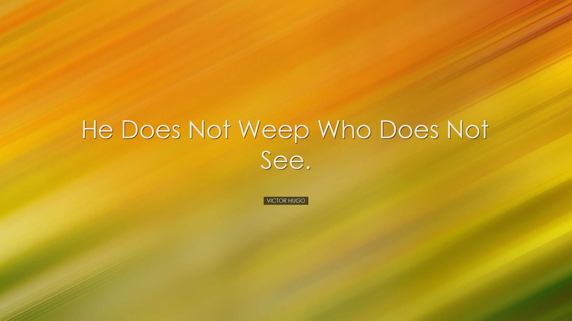 He does not weep who does not see. - Victor Hugo