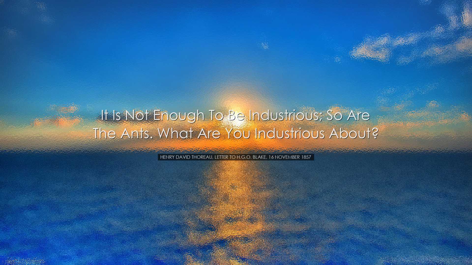 It is not enough to be industrious; so are the ants. What are you