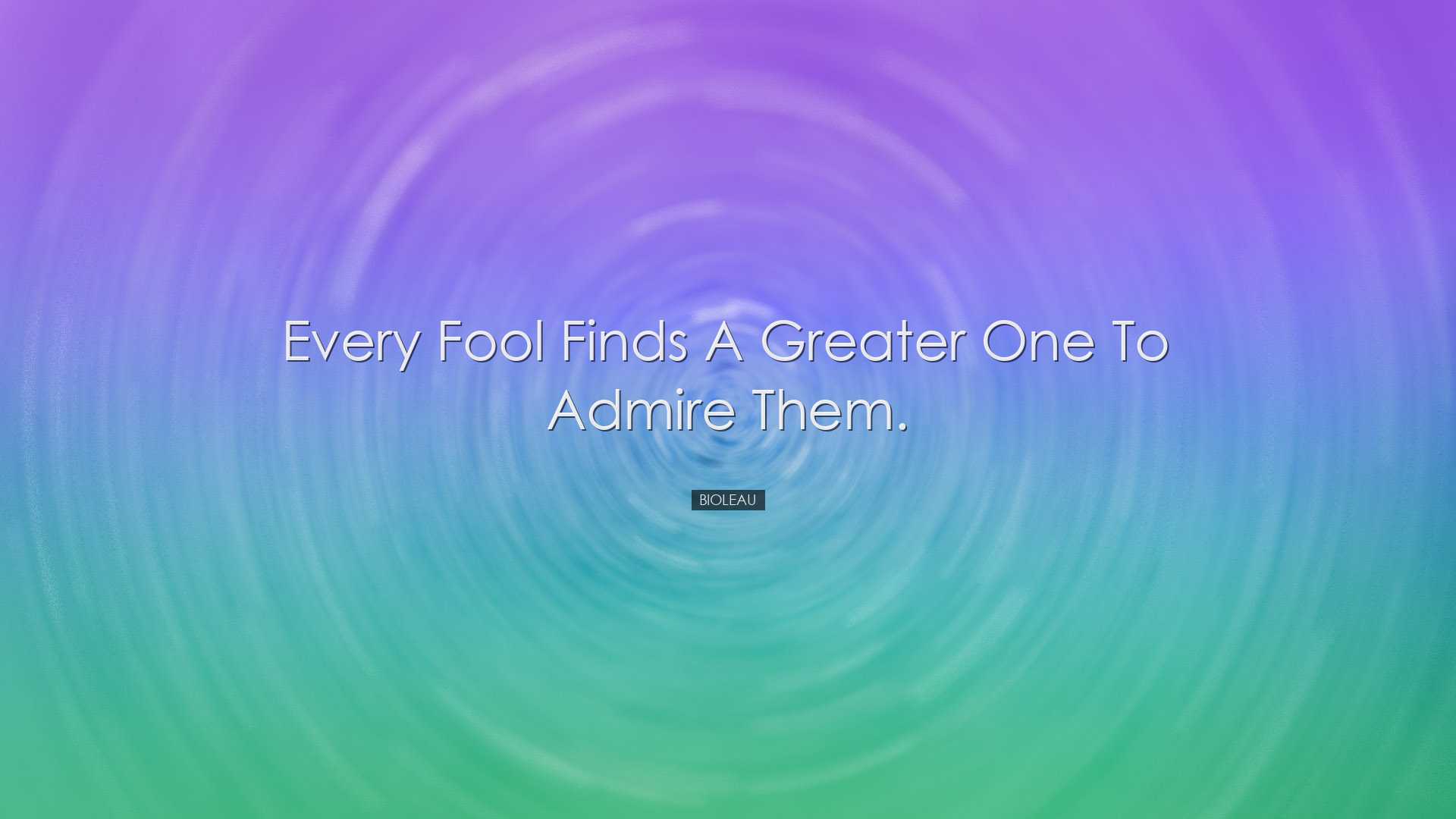 Every fool finds a greater one to admire them. - Bioleau