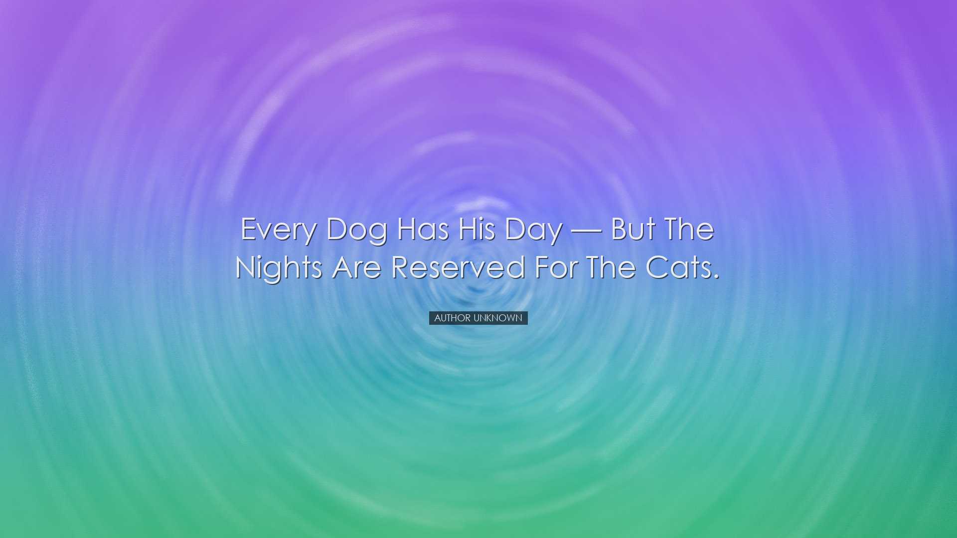 Every dog has his day — but the nights are reserved for the