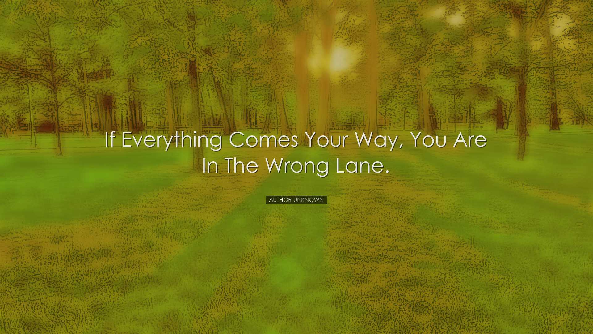If everything comes your way, you are in the wrong lane. - Author