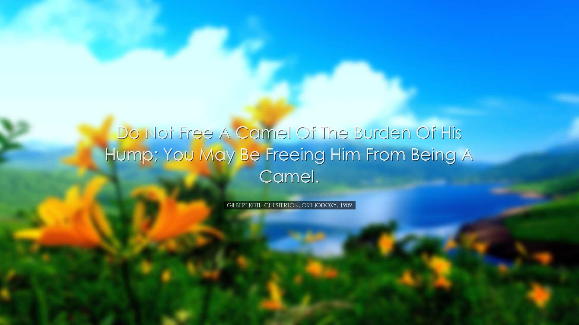 Do not free a camel of the burden of his hump; you may be freeing