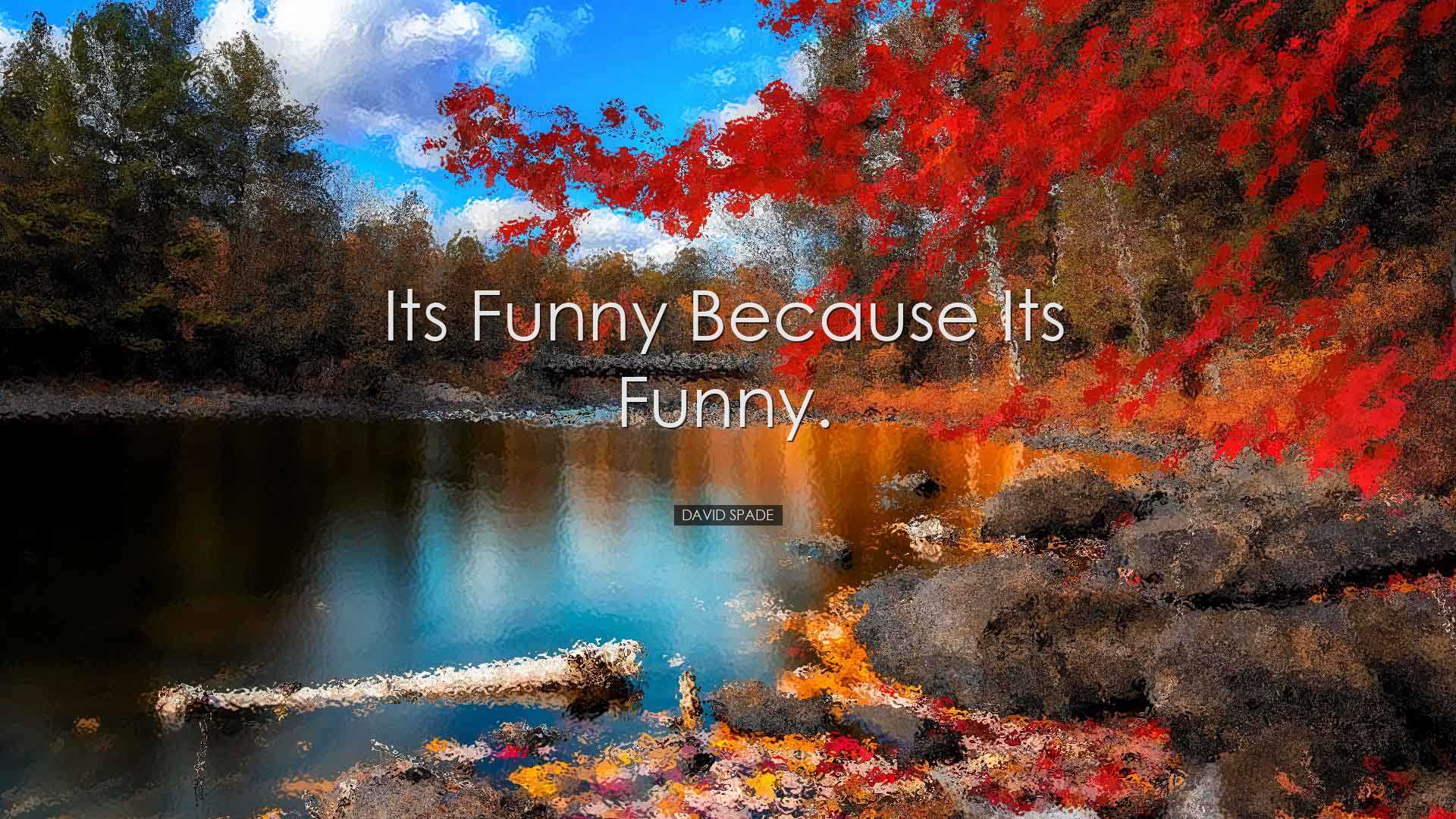 Its funny because its funny. - David Spade