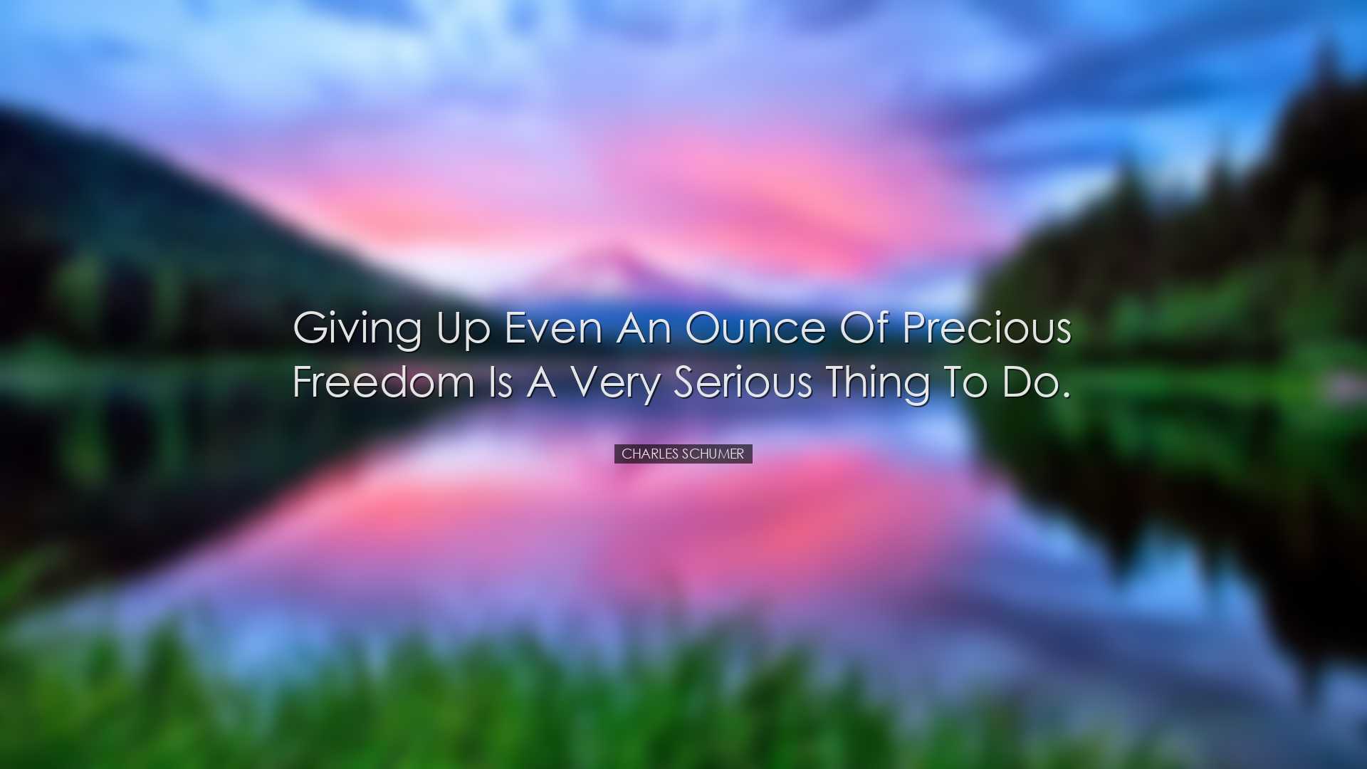 Giving up even an ounce of precious freedom is a very serious thin