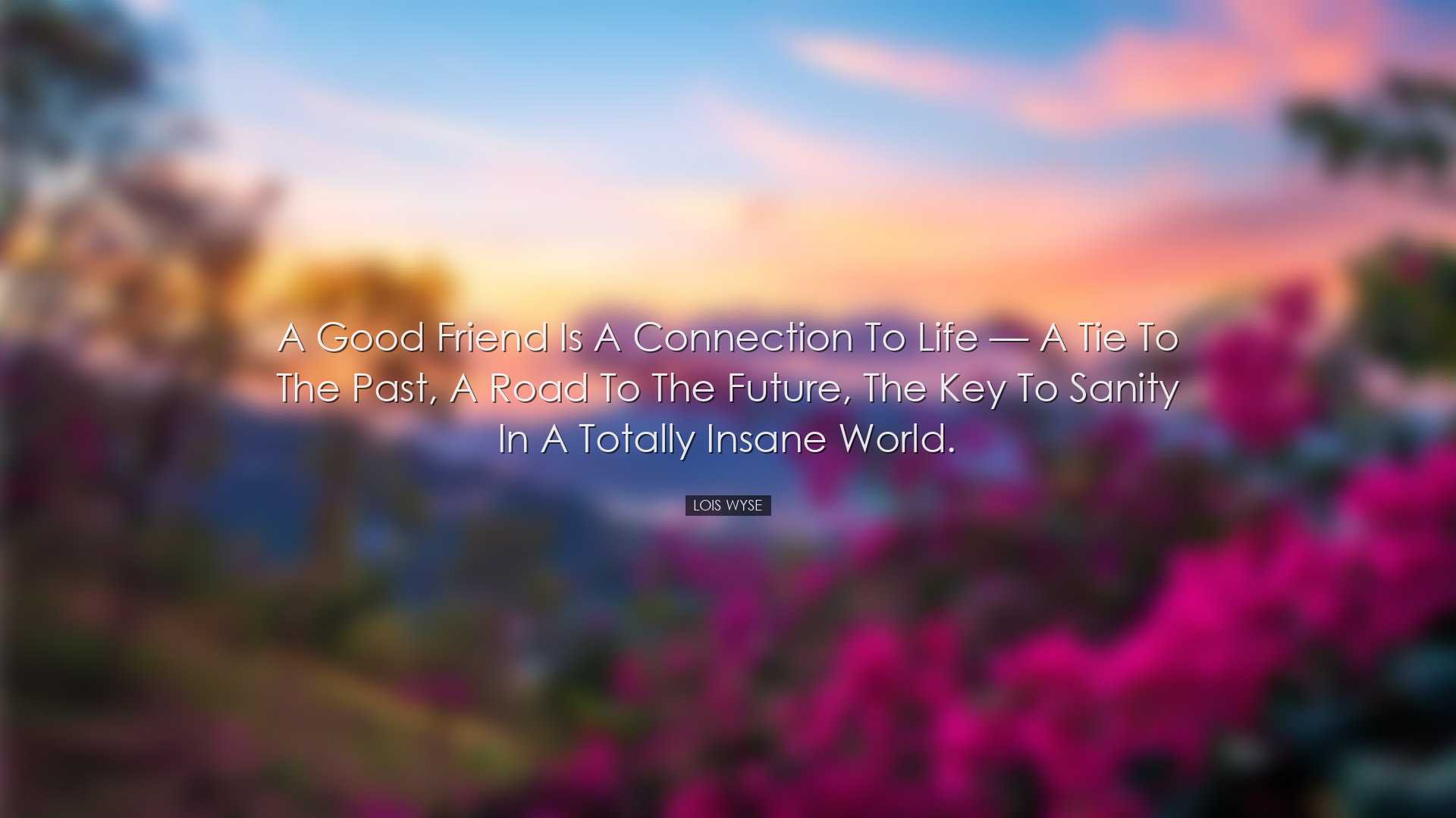 A good friend is a connection to life â€” a tie to the past,