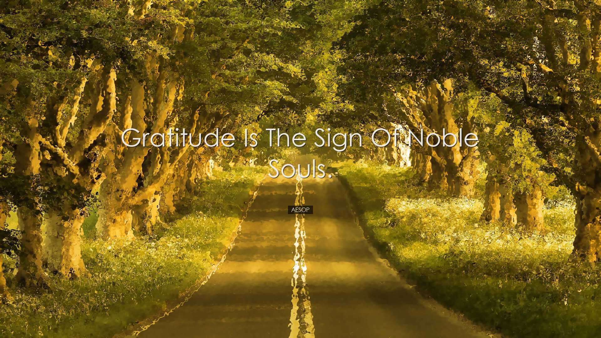Gratitude is the sign of noble souls. - Aesop