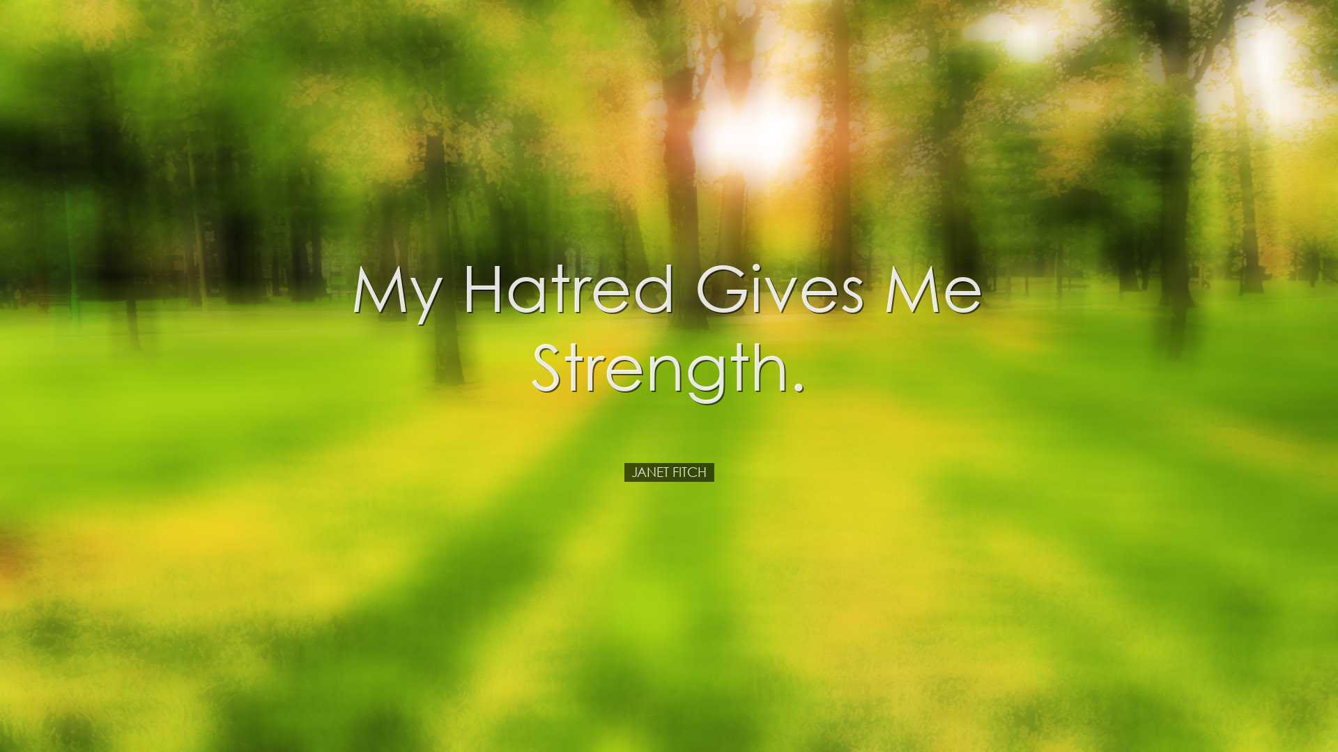 My hatred gives me strength. - Janet Fitch