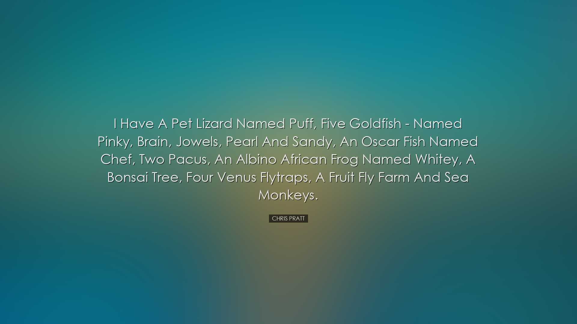 I have a pet lizard named Puff, five goldfish - named Pinky, Brain