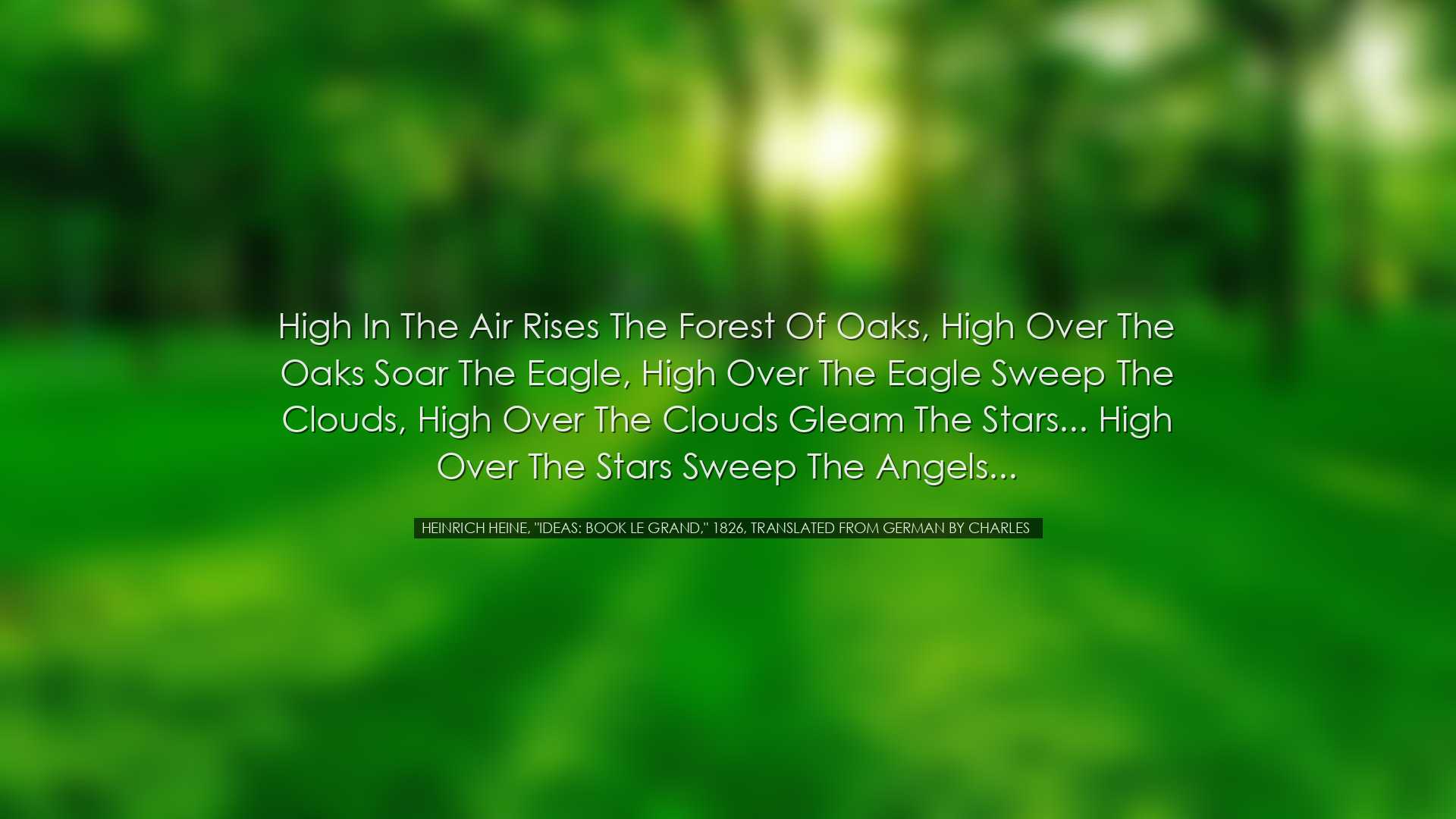 High in the air rises the forest of oaks, high over the oaks soar