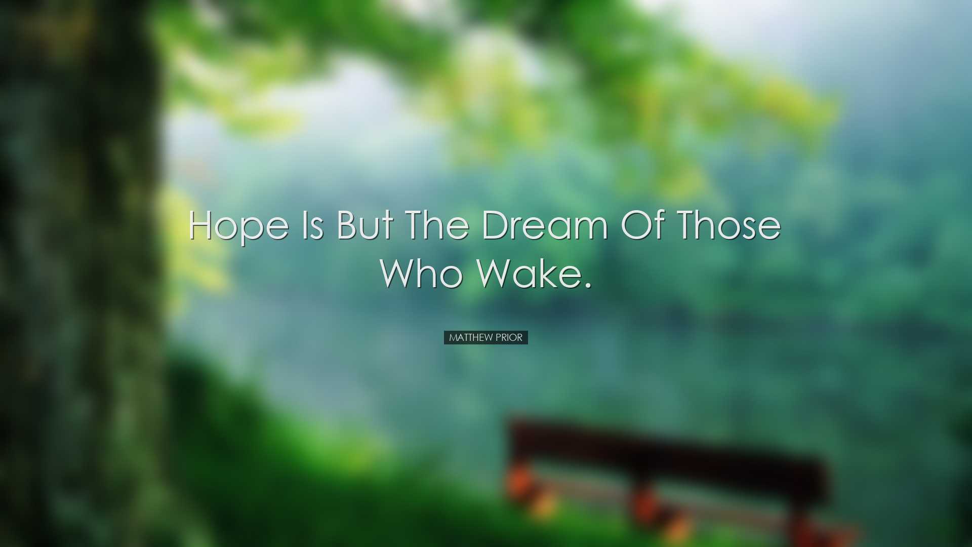 Hope is but the dream of those who wake. - Matthew Prior