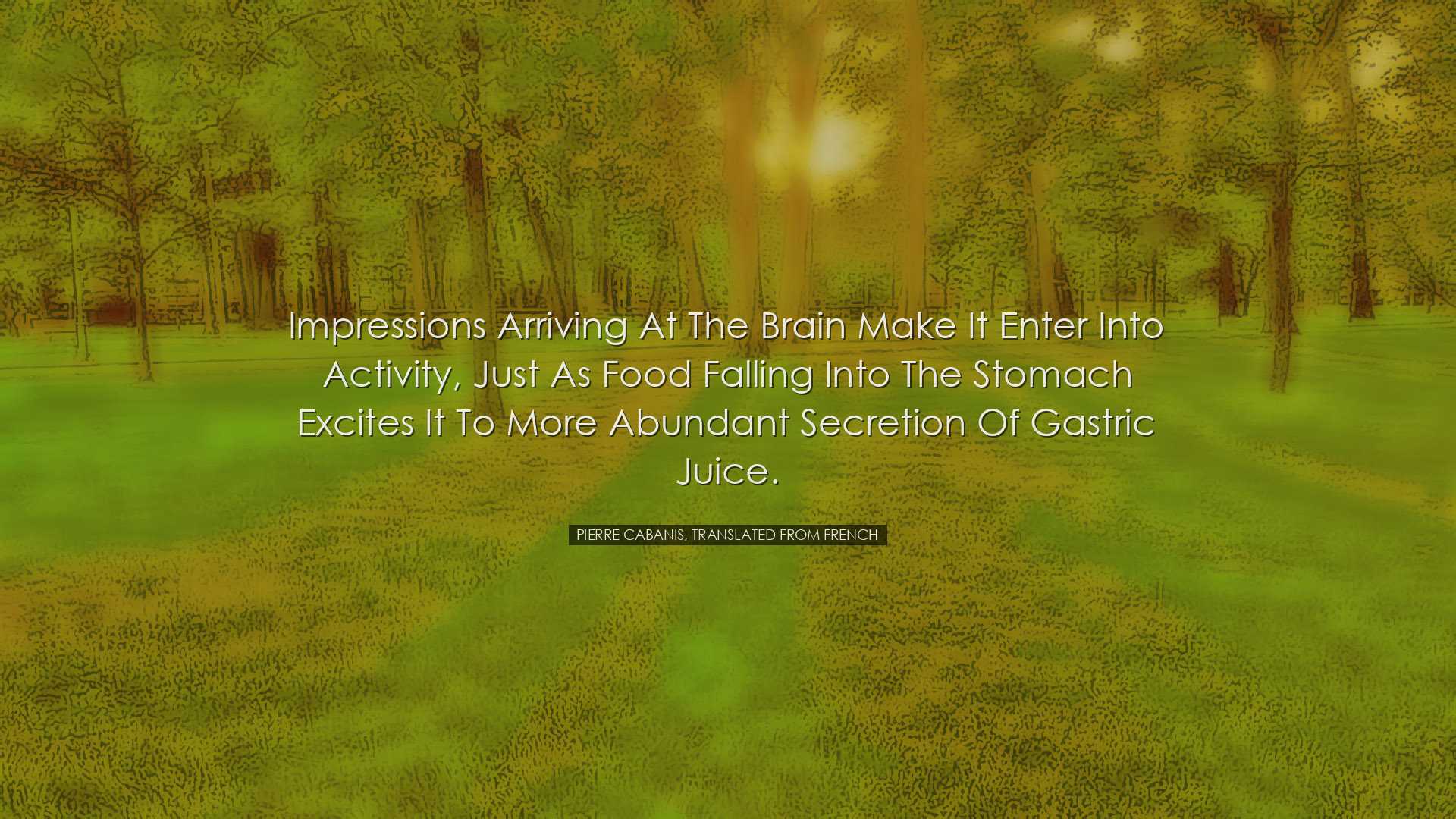 Impressions arriving at the brain make it enter into activity, jus