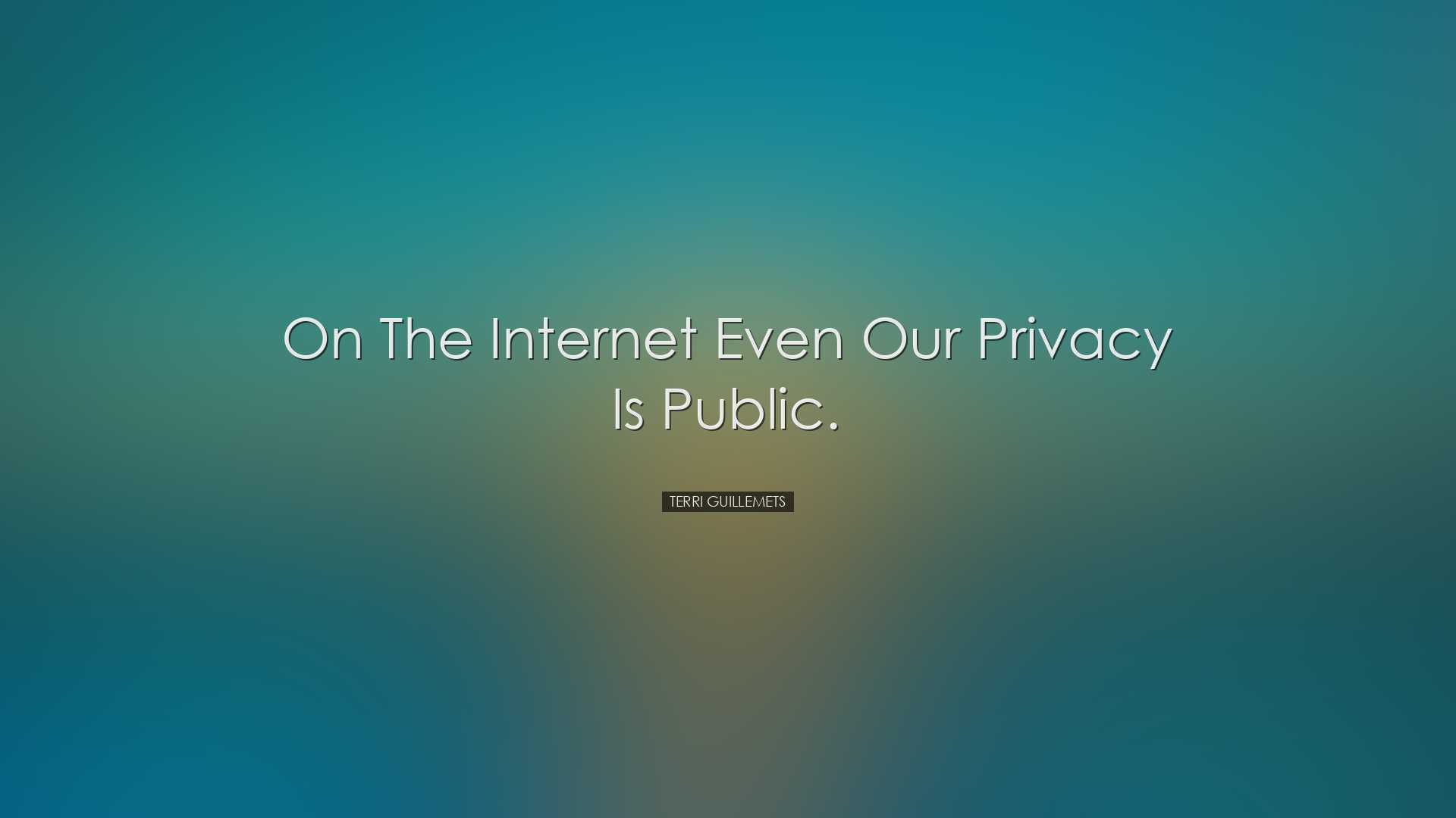 On the internet even our privacy is public. - Terri Guillemets