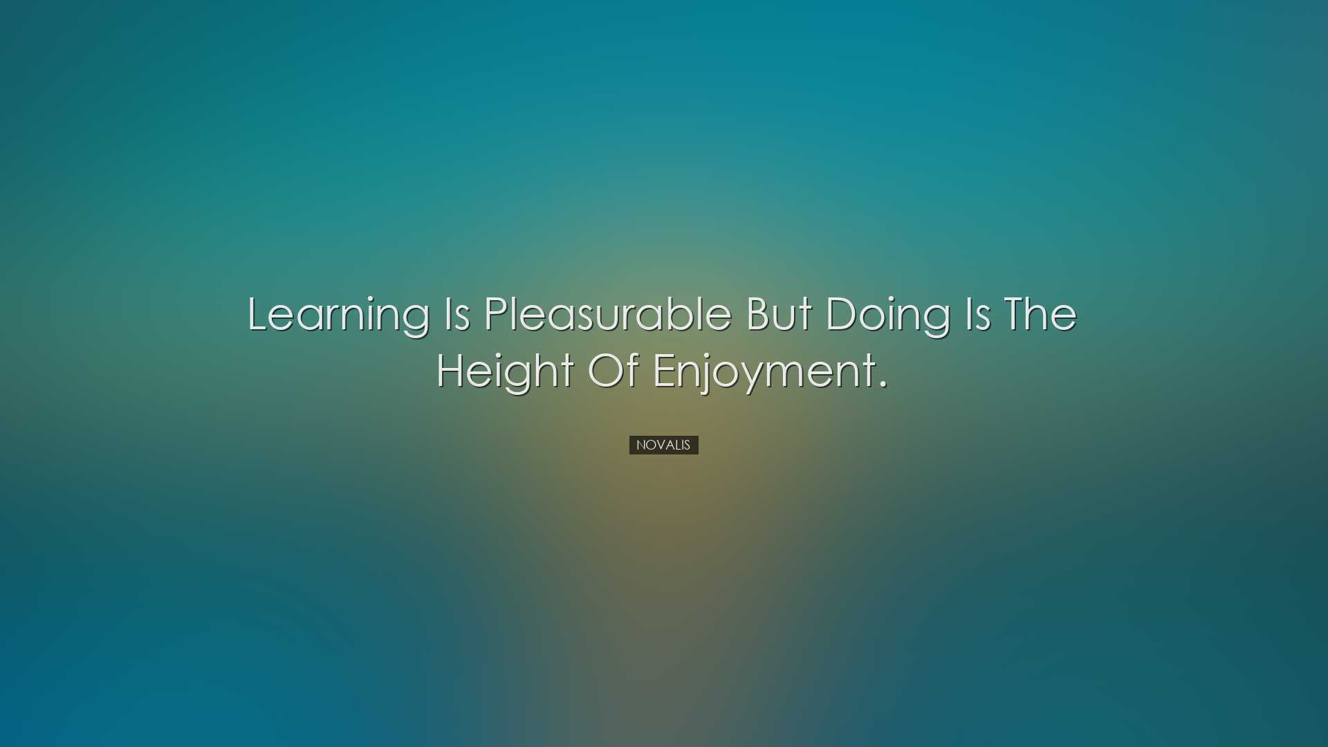 Learning is pleasurable but doing is the height of enjoyment. - No