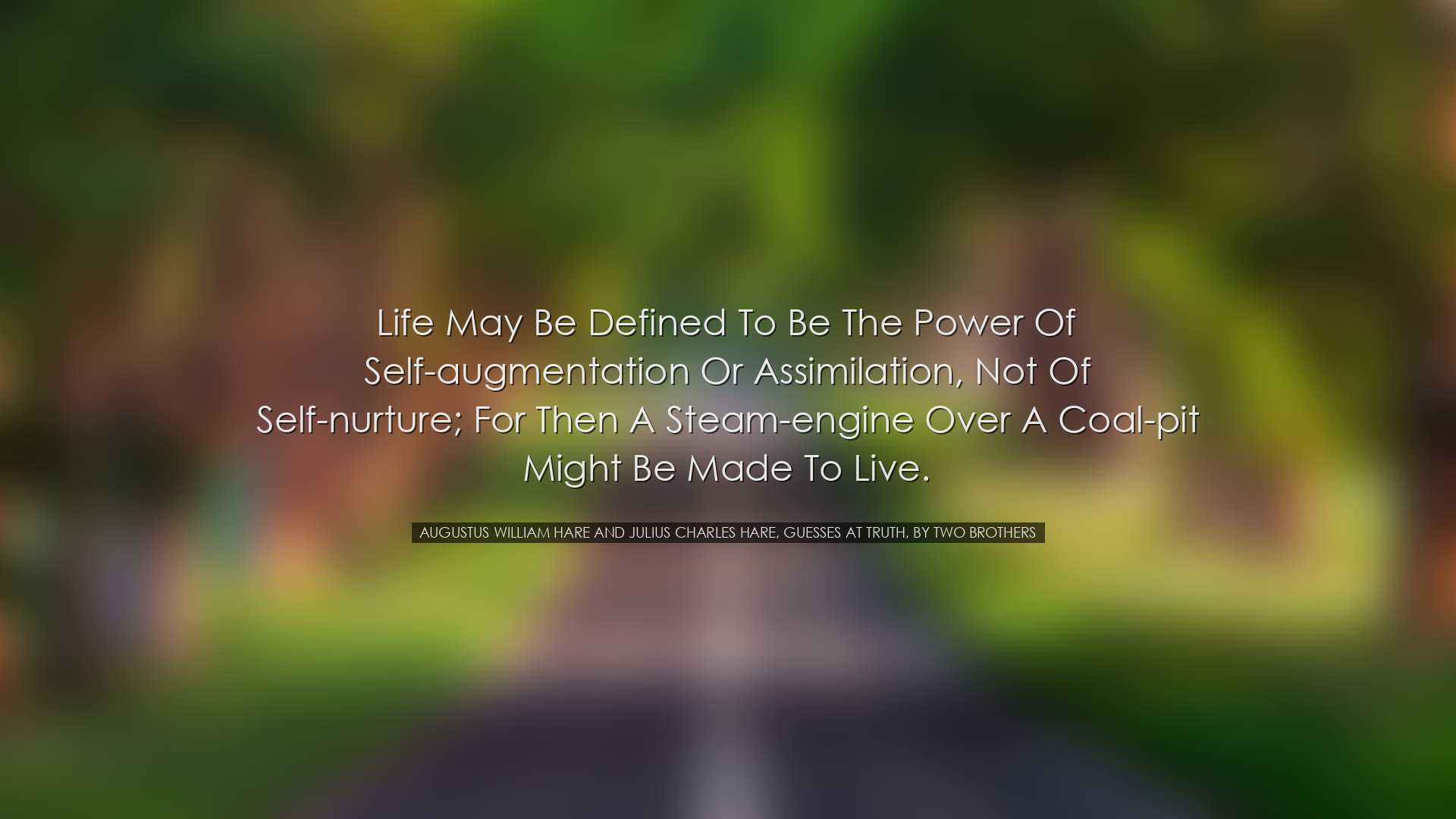 Life may be defined to be the power of self-augmentation or assimi