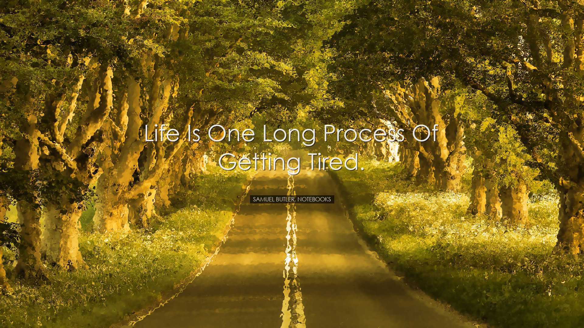 Life is one long process of getting tired. - Samuel Butler, Notebo