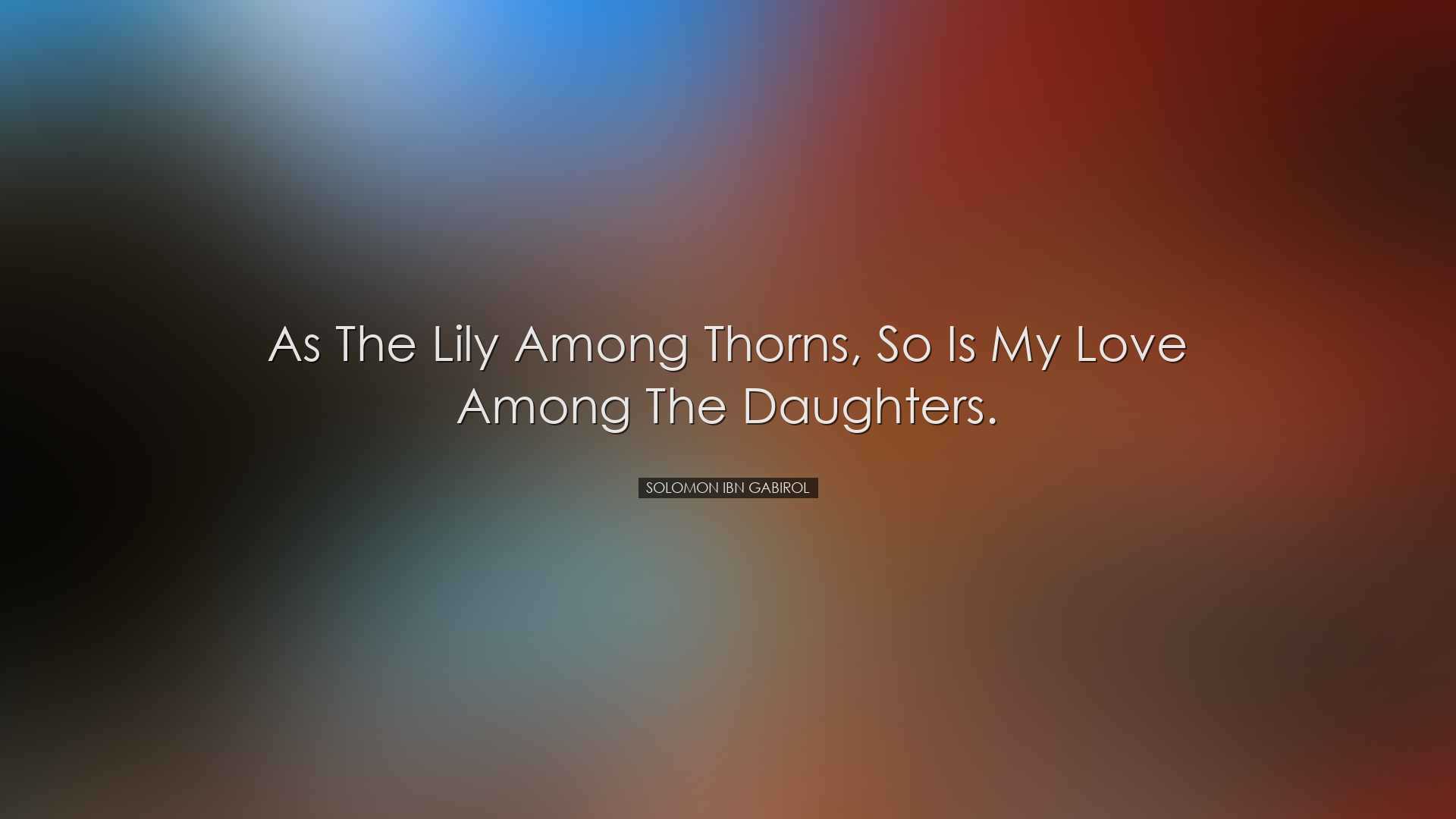 As the lily among thorns, so is my love among the daughters. - Sol