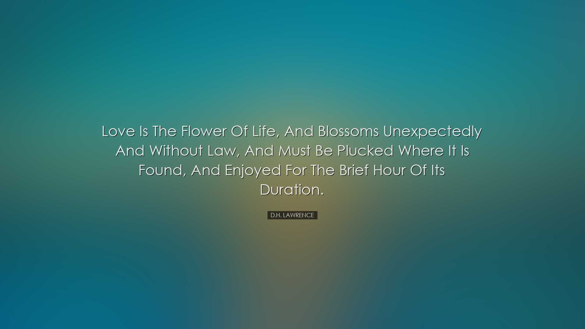Love is the flower of life, and blossoms unexpectedly and without