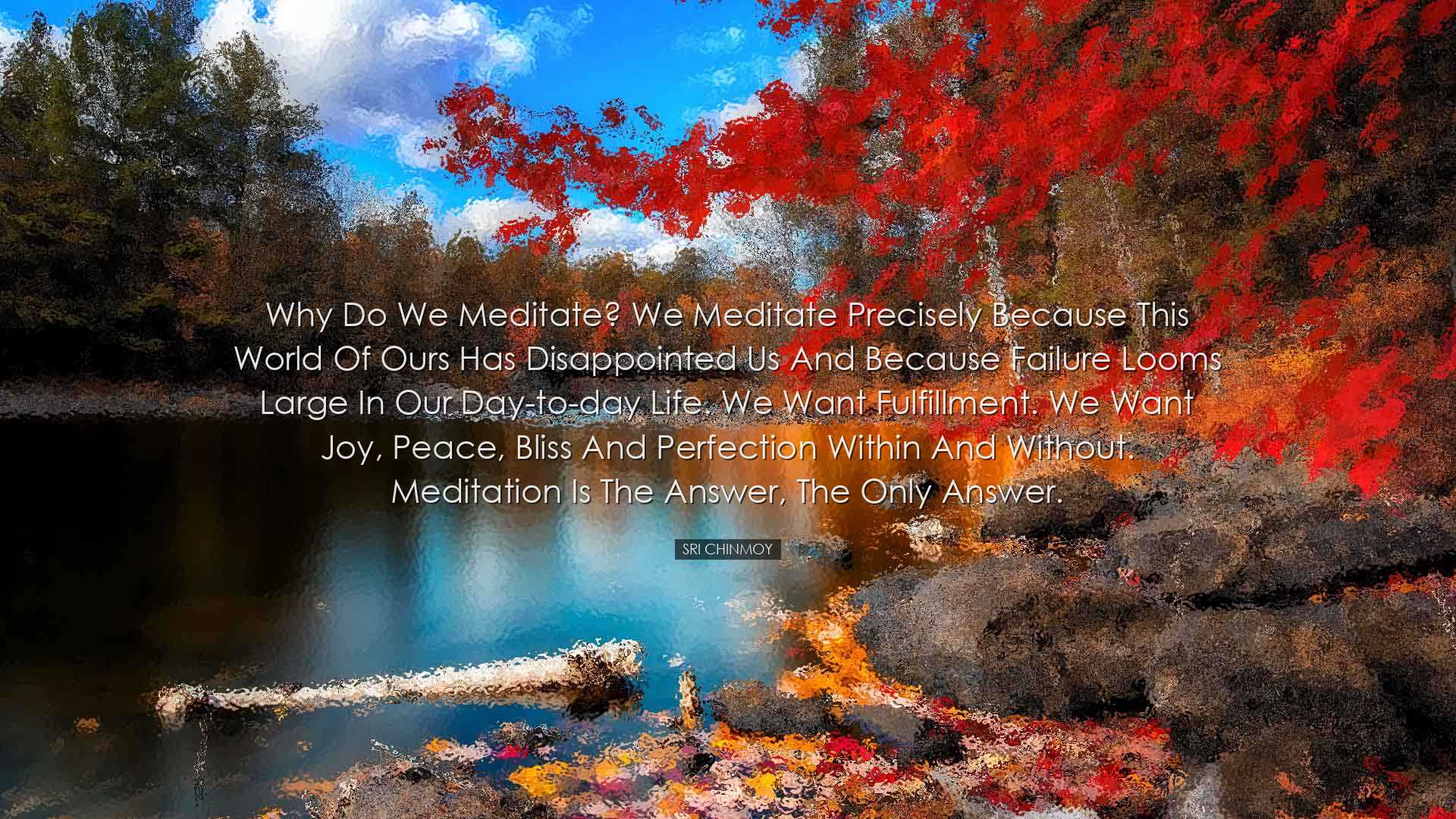 Why do we meditate? We meditate precisely because this world of ou