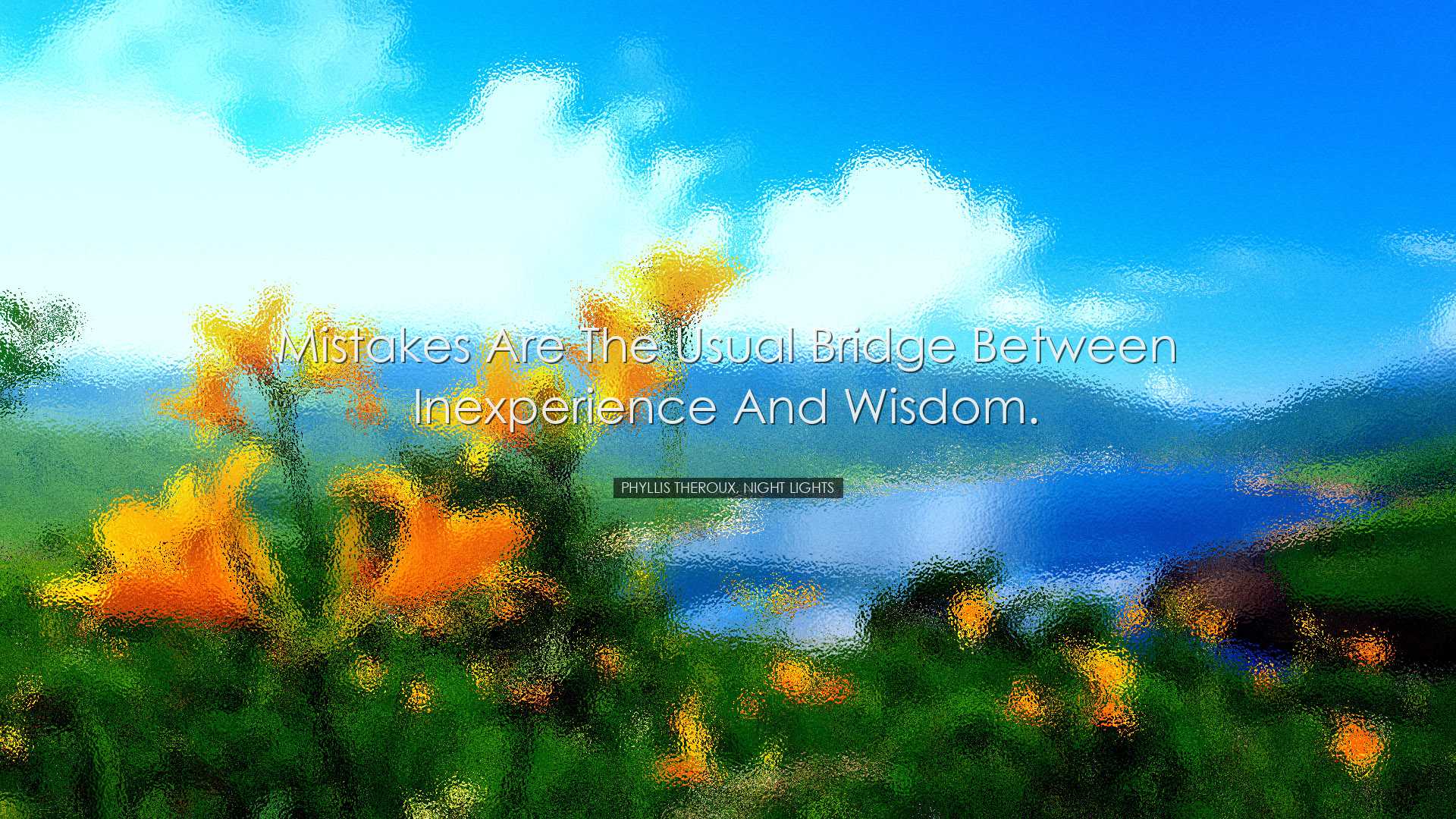 Mistakes are the usual bridge between inexperience and wisdom. - P