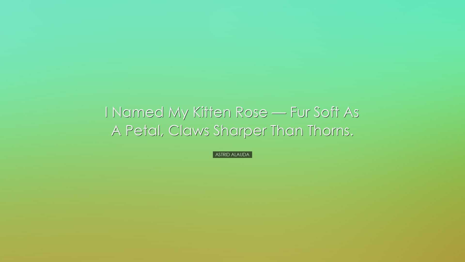 I named my kitten Rose — fur soft as a petal, claws sharper