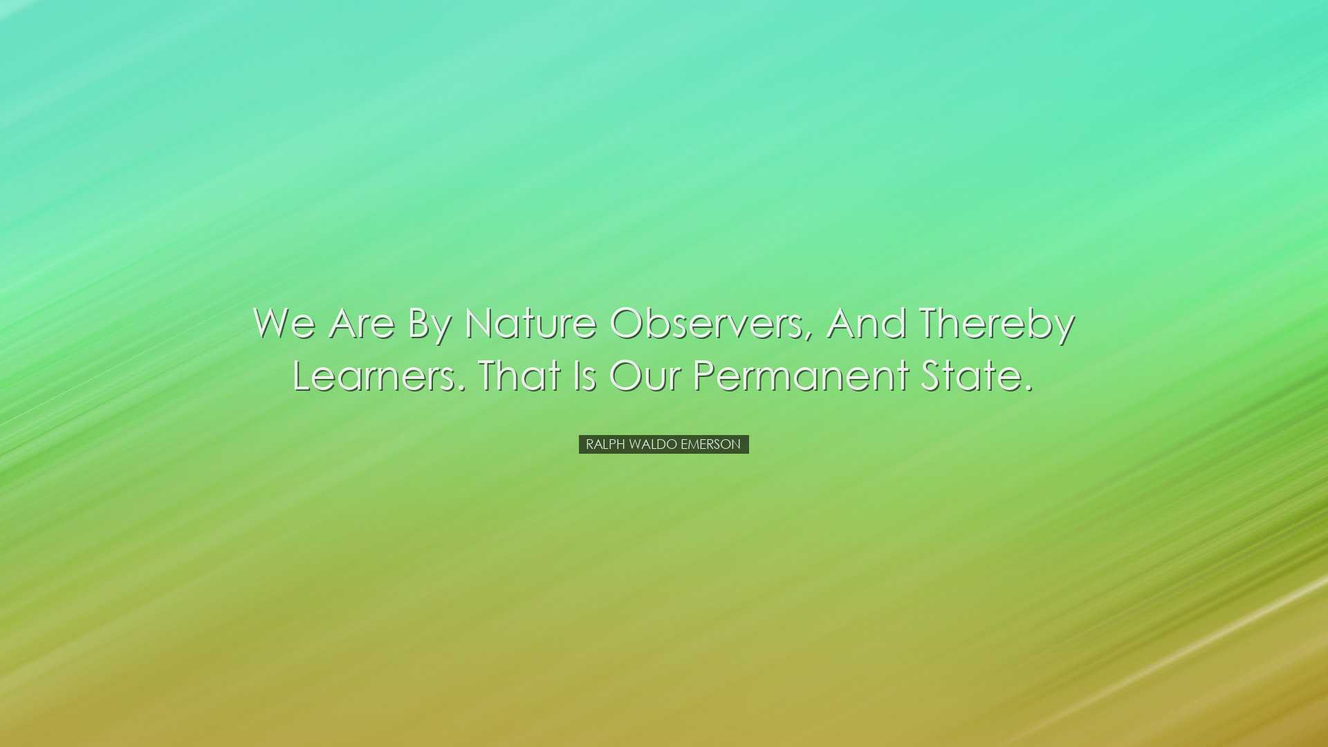 We are by nature observers, and thereby learners. That is our perm