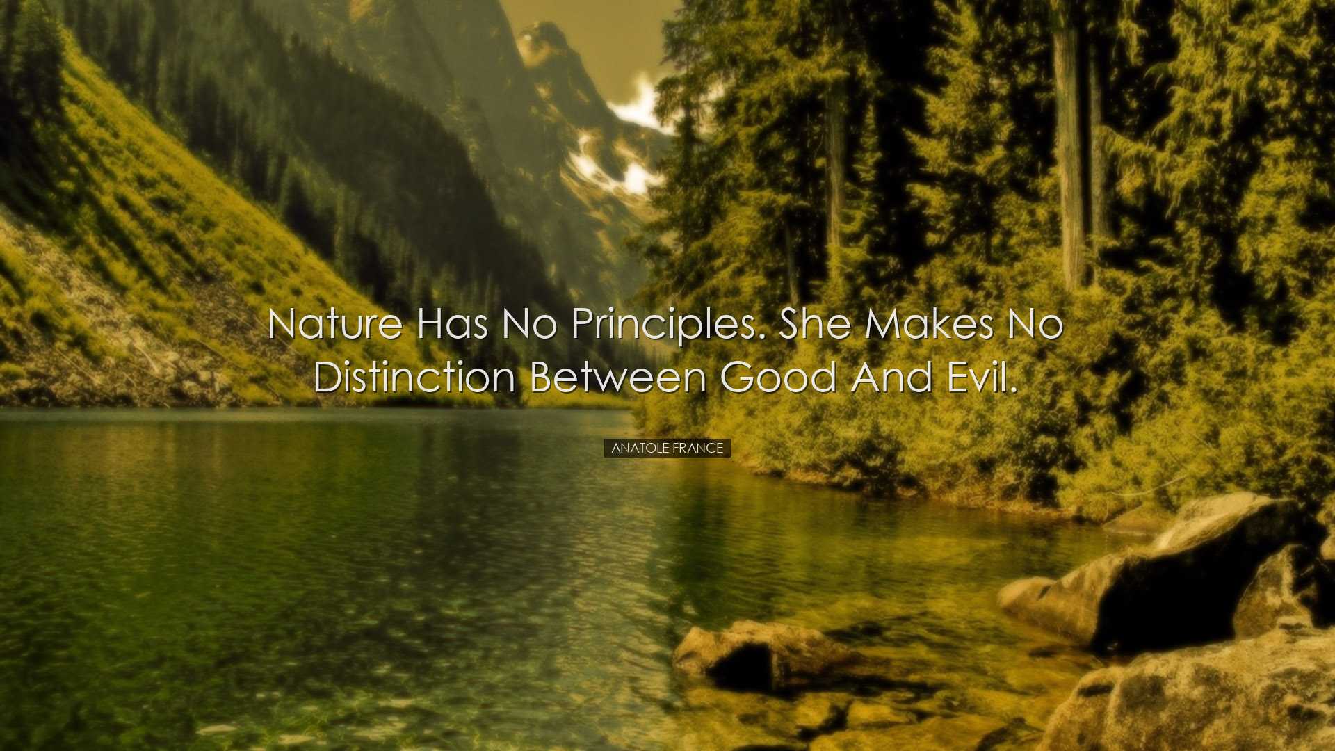 Nature has no principles. She makes no distinction between good an