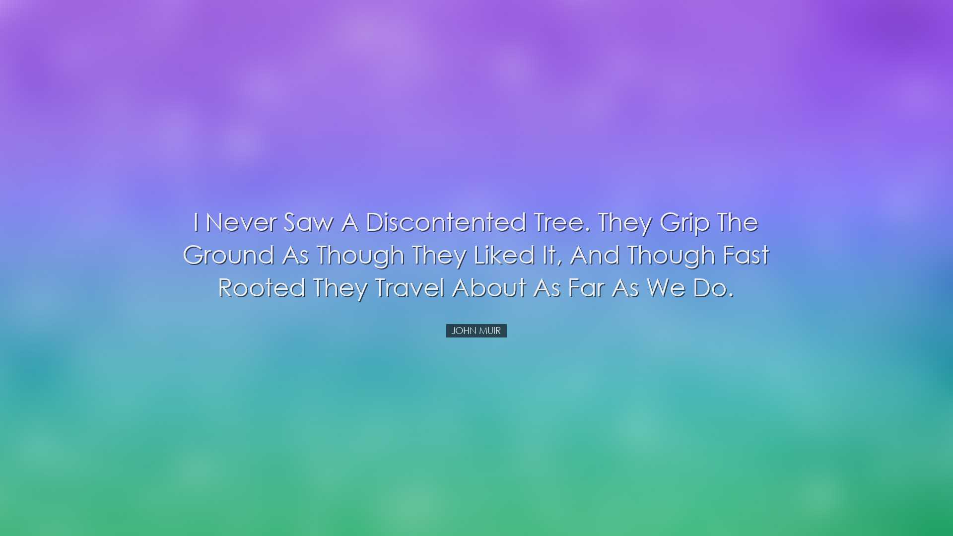 I never saw a discontented tree. They grip the ground as though th