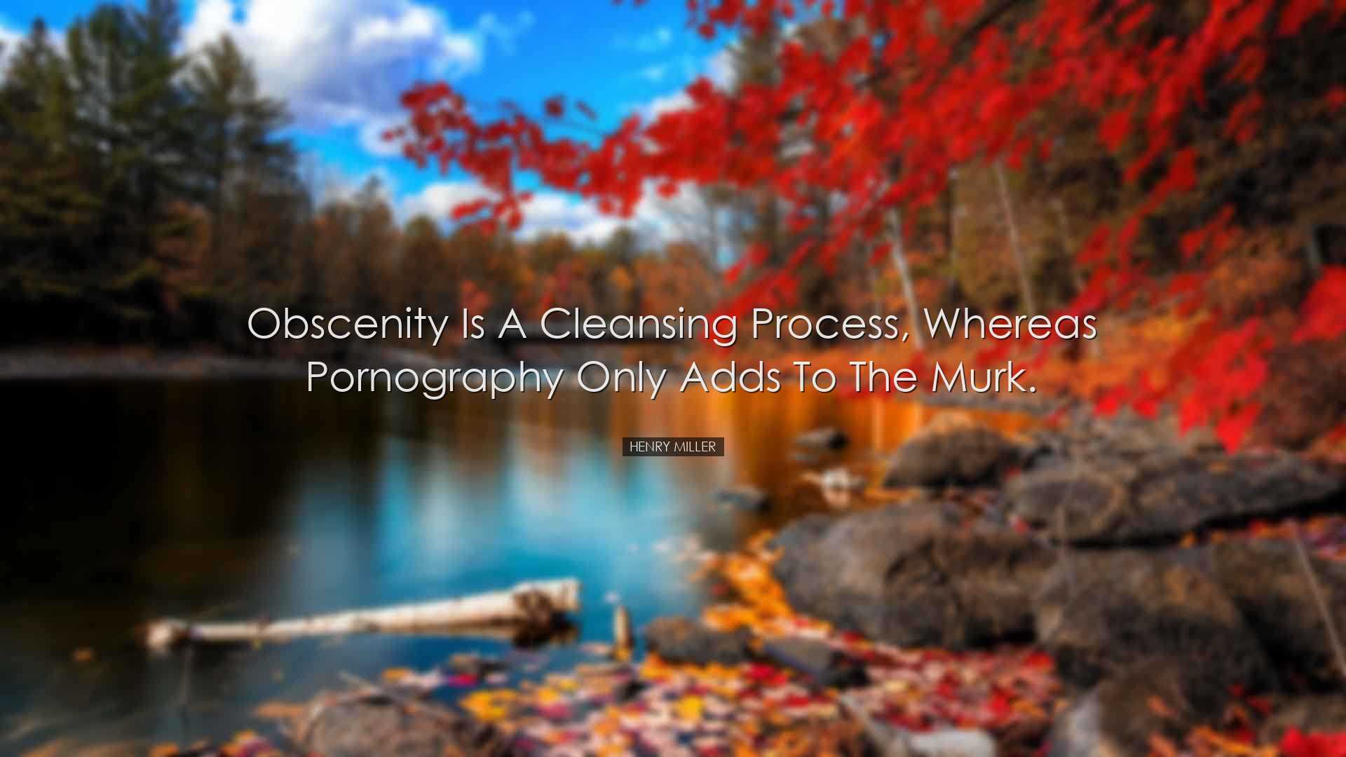 Obscenity is a cleansing process, whereas pornography only adds to