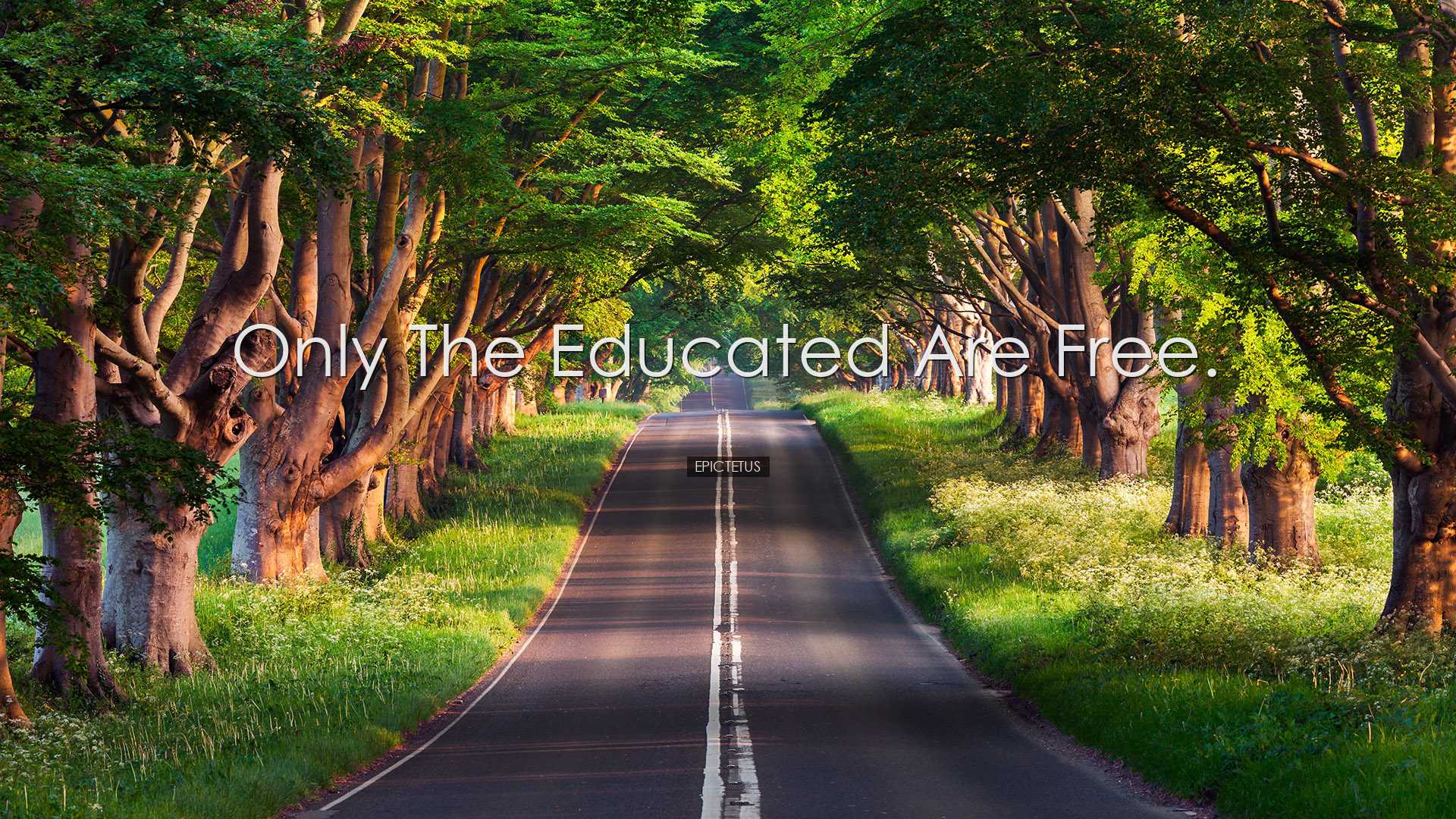 Only the educated are free. - Epictetus