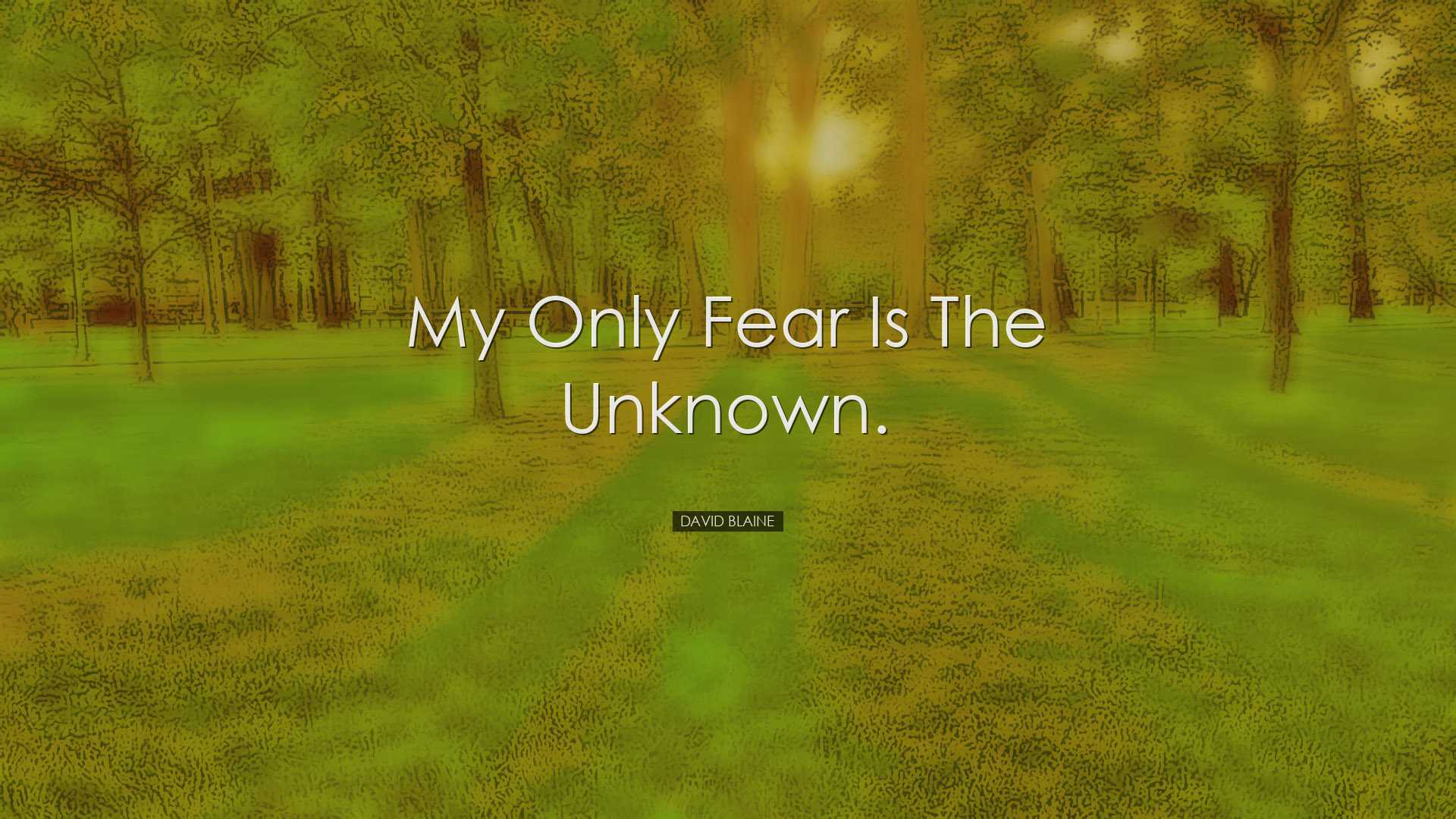 My only fear is the unknown. - David Blaine