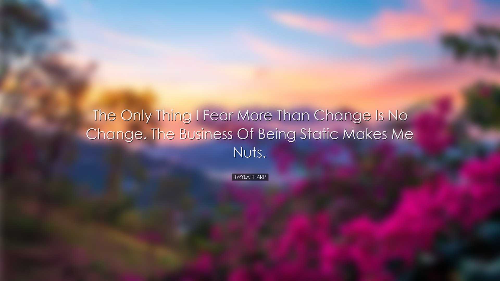 The only thing I fear more than change is no change. The business