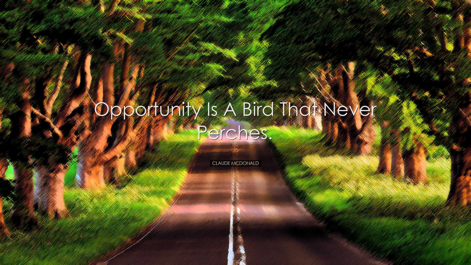 Opportunity is a bird that never perches. - Claude McDonald