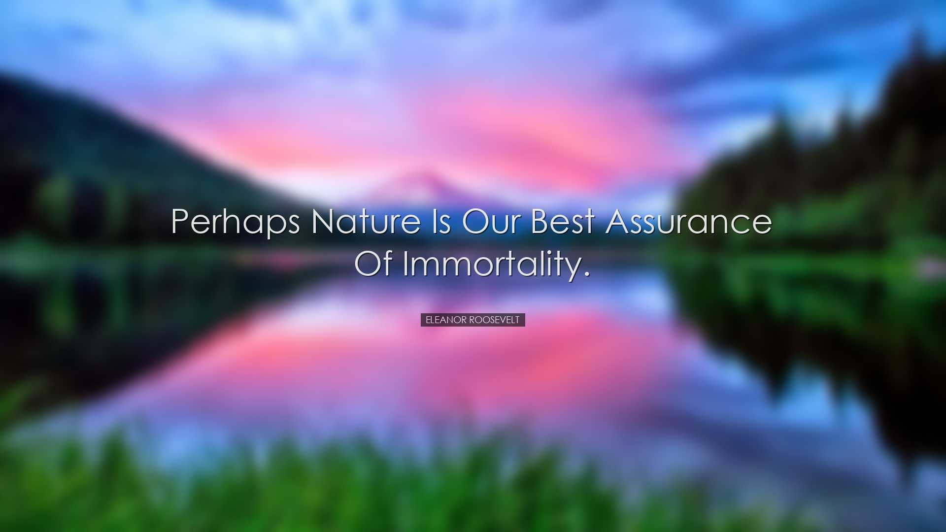 Perhaps nature is our best assurance of immortality. - Eleanor Roo