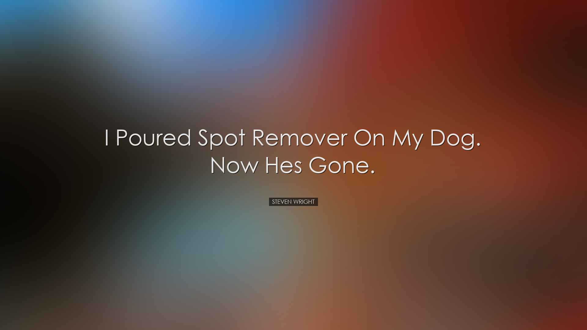 I poured spot remover on my dog. Now hes gone. - Steven Wright