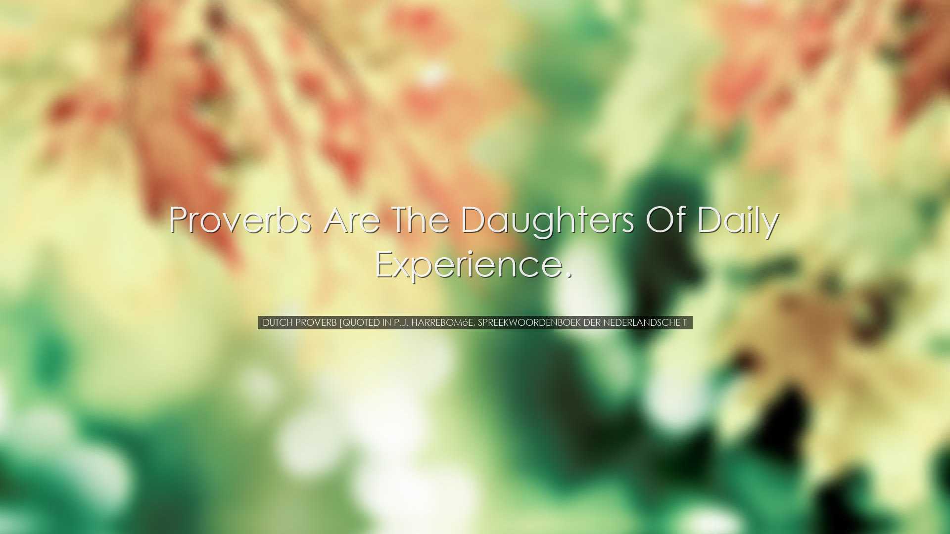 Proverbs are the daughters of daily experience. - Dutch Proverb [Q