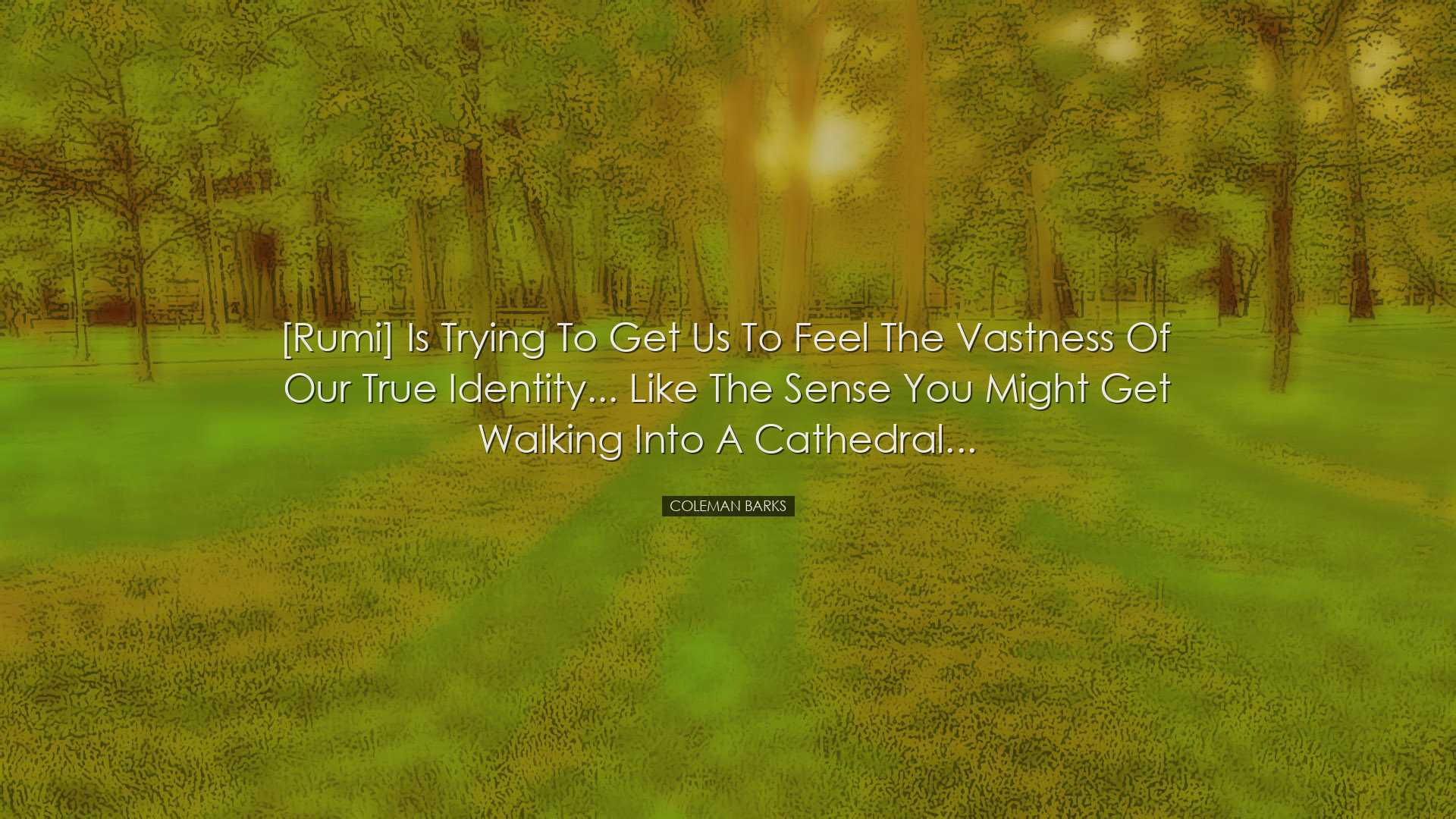 [Rumi] is trying to get us to feel the vastness of our true identi