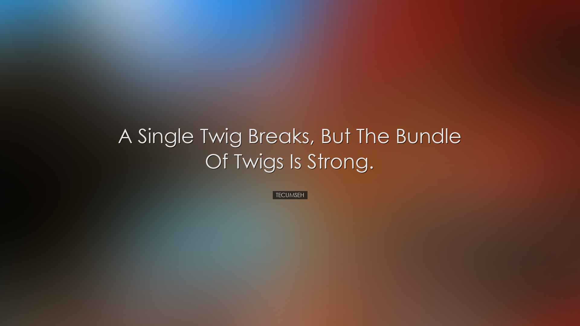 A single twig breaks, but the bundle of twigs is strong. - Tecumse